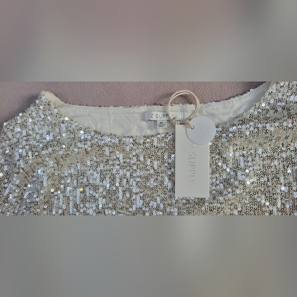 Z SUPPLY Sequin Mini Dress Size M Silver Lined NWT Style ZD234255S RN135090 - Picture 2 of 11